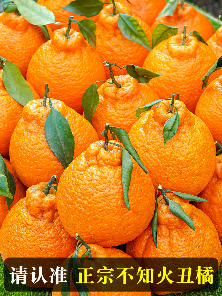 正宗四川不知火丑橘新鲜10斤整箱水果当季粑粑丑八怪柑橘耙耙桔子